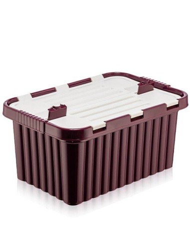 Cutie depozitare 33 l cu capac incorporat din plastic color