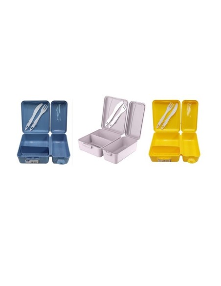 Cutie pentru pranz cu tacamuri AP 9082