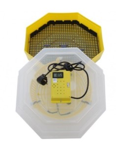 Incubator electric cu temometu si termostat, 60 oua , CLEO 5T